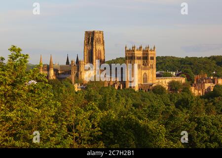 Durham Cathedral in warmem Abendlicht umgeben von Bäumen. County Durham, England, Großbritannien. Stockfoto