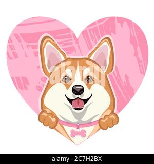 Lächelnder süßer welsh Corgi Hund mit einem rosa Herz. Stock Vektor