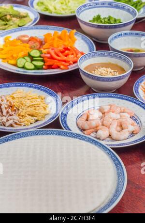 Reispapier und Zutaten für die Herstellung traditioneller vietnamesischer Frühlingsrollen Stockfoto