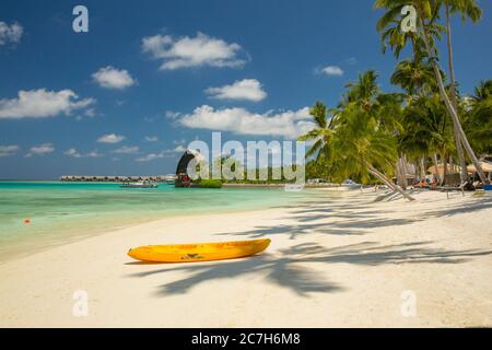 Malediven, Süd Male Atoll, Shangri-La's Villingili Resort & Spa, Kajak, Palmenstrand, Meer, Detail, Stockfoto