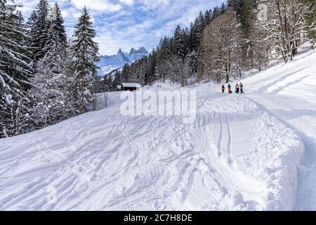 Europa, Österreich, Vorarlberg, Montafon, Raetikon, Gauertal, Winterwanderer im Aufstieg entlang der Rodelbahn mit Blick auf die drei Türme Stockfoto