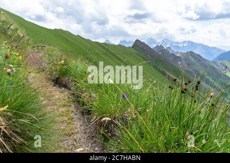 Europa, Österreich, Tirol, Osttirol, Kals am Großglockner, Blick auf den Sudetendeutschen Höhenweg zwischen hohem Tor und Dürrenfeldscharte mit der Schobergruppe im Hintergrund Stockfoto