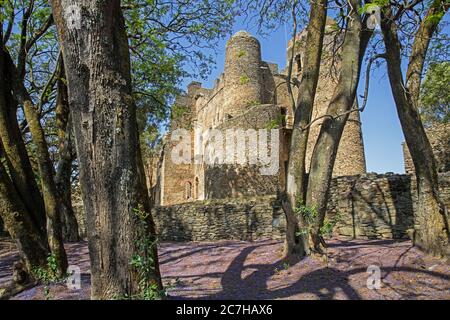 Fasil Ghebbi / Königliche Einschließung und Schloß des Kaisers Fasilides des 17. Jahrhunderts, Nordkondarzone, Amhara Region, Äthiopien, Afrika Stockfoto