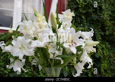 Bouquet de lys Blanc Stockfoto