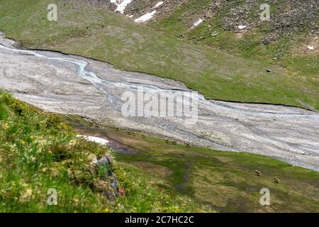 Europa, Österreich, Tirol, Ötztal Alpen, Ötztal, Blick auf die Rotmoosache im Rotmoostal bei Obergurgl Stockfoto