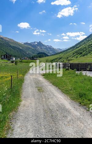 Europa, Österreich, Tirol, Ötztal Alpen, Ötztal, Waldweg entlang der Gurgler Ache Richtung Obergurgl Stockfoto