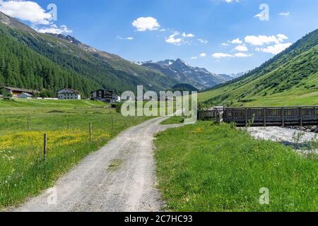 Europa, Österreich, Tirol, Ötztal Alpen, Ötztal, Waldweg entlang der Gurgler Ache Richtung Obergurgl Stockfoto