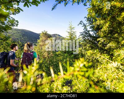 Wandern auf dem Zweilersteig, Huberfelsen, Oberprechtal Stockfoto