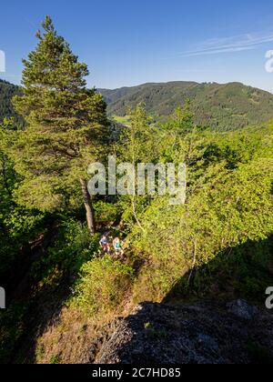 Wandern auf dem Zweilersteig, Huberfelsen, Oberprechtal Stockfoto