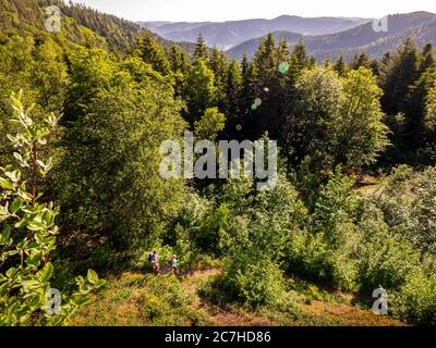 Wandern auf dem Zweilersteig, Huberfelsen, Oberprechtal Stockfoto