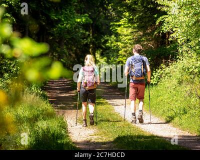 Wandern auf dem zweiten Talweg, Weg in der Nähe der Landwasserecke Stockfoto