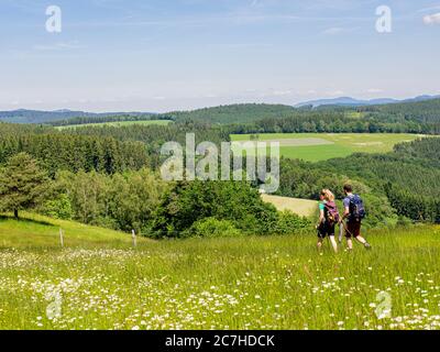 Wandern auf dem Zährersteig, Blumenwiese Pfauß Stockfoto