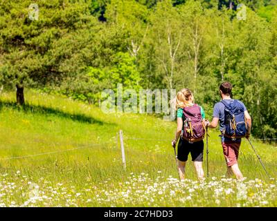 Wandern auf dem Zährersteig, Blumenwiese Pfauß Stockfoto