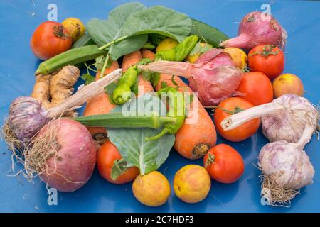 Vegane gesunde Ernährung Konzept für eine ballaststoffreiche Ernährung mit Gemüse. Lebensmittel mit hohem Gehalt an Antioxidantien & Vitaminen. Immunantwort. Flach liegend. Stockfoto