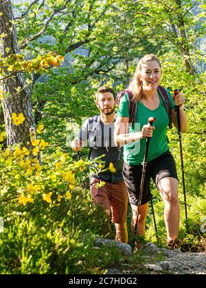 Wandern auf dem Zährersteig, Wanderweg an der Prechtaler Schanze Stockfoto