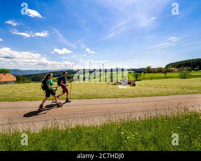 Wandern auf dem Zährersteig, Höhenhäuser Stockfoto