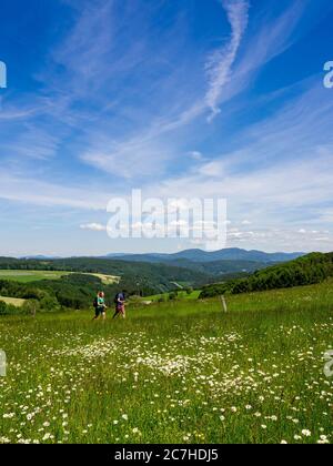 Wandern auf dem Zährersteig, Blumenwiese Pfauß Stockfoto