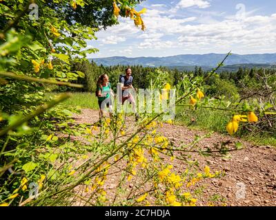 Wandern auf dem Zährersteig, Höhenhäuser Stockfoto