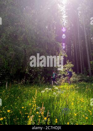 Wandern auf dem zweiten Talweg, Weg in der Nähe der Landwasserecke Stockfoto