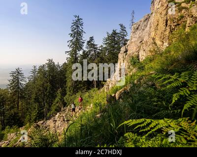 Wandern auf dem Zährersteig, großer Kandelfelsen Kandel Stockfoto