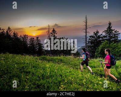 Wandern auf dem Zährersteig, Kandel Stockfoto