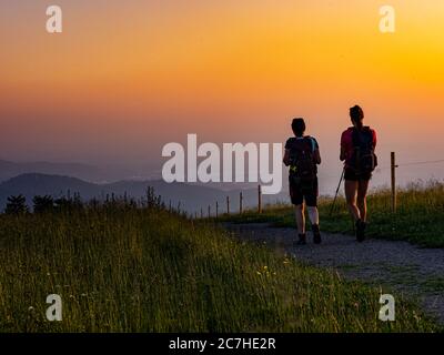 Wandern auf dem Zährersteig, schmaler Wanderweg am Gipfel des Kandel, Blick Richtung Westen Stockfoto