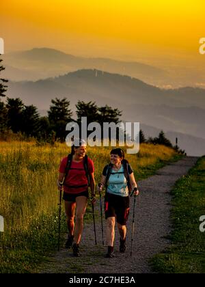 Wandern auf dem Zährersteig, schmaler Wanderweg am Gipfel des Kandel, Blick Richtung Westen Stockfoto