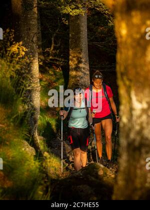 Wandern auf dem Zährersteig, schmaler Wanderweg bei der Thomashütte, Kandel Stockfoto