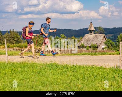 Wandern auf dem Zweilersteig, Rohrhardsberg Stockfoto