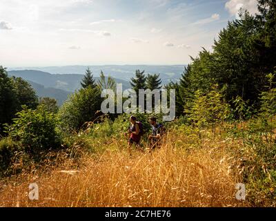 Wandern auf dem Zährersteig, Tafelbühl mit Blick auf das Simonswäldertal Stockfoto