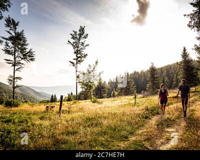 Wandern auf dem Zweilersteig, Magerweiden auf dem Rohrhardsberg Stockfoto