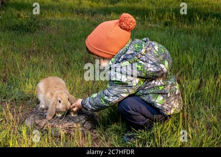 Ein kleiner Junge spielt im Frühling mit einem französischen Lop-Kaninchen auf dem grünen Gras. Ein kleiner, flauschiger, brauner Haushase mit großen Ohren. Stockfoto