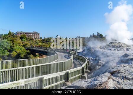 Blick auf den Geysir Pōhutu, Te Puia, das Geothermales Tal Te Whakarewarewa, Rotorua, Neuseeland Stockfoto