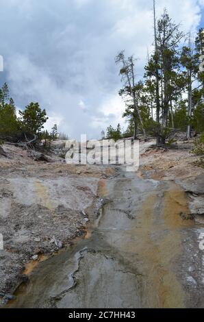 Spätfrühling im Yellowstone National Park: Steamboat Geyser Dampf Plume fügt sich in den wolkigen Himmel im Back Basin Bereich des Norris Geyser Basin Stockfoto