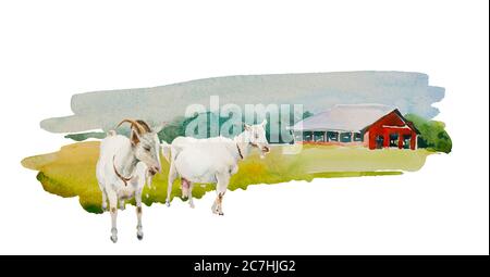 Zwei Ziegen auf dem Hintergrund der traditionellen Red Farm Scheune. Original einfache Aquarell landwirtschaftlichen ländlichen Illustration isoliert auf weißem Hintergrund Stockfoto