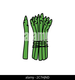 Spargel Doodle Symbol, Vektor-Illustration Stock Vektor