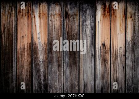 Altes weißes Holz Wandpaneel Muster. Weiße Holzplanke Textur für Hintergrund. Stockfoto
