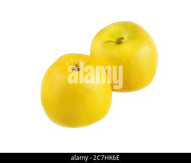Zwei gelbe Äpfel auf weißem Hintergrund Stockfoto