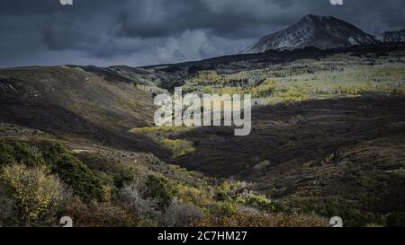 Landschaft von verschiedenen Arten von Pflanzen, die in der Mitte wachsen Von Hügeln an der Schlucht Stockfoto