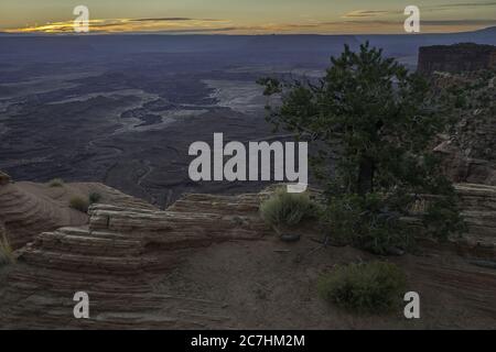 Landschaft von verschiedenen Arten von Pflanzen, die in der Mitte wachsen Von Hügeln an der Schlucht Stockfoto