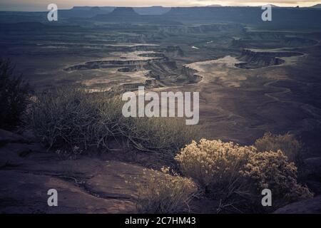 Landschaft von verschiedenen Arten von Pflanzen, die in der Mitte wachsen Von Hügeln in der Schlucht Stockfoto