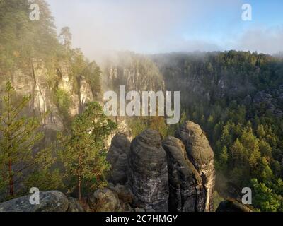 Tal, Felsen, Sandstein, Abgrund, Bergwald, Bastion, Herbst, Nationalpark, Sächsische Schweiz Stockfoto