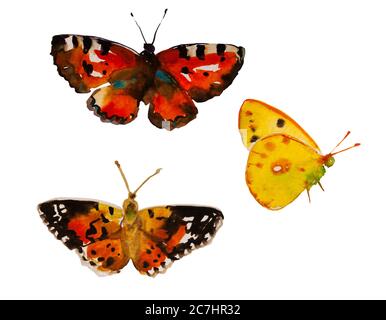 Aquarell Schmetterling Set, gelbe Colias croceus und zwei Vanessa cardui orange und braune Insekten, isoliert auf weißem Hintergrund Stockfoto