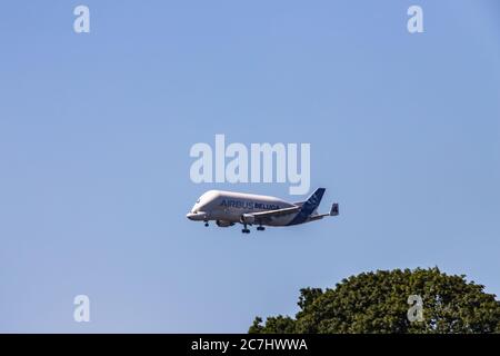 Airbus Beluga - das Transport- und Logistikflugzeug über die Elbe in Hamburg. Stockfoto