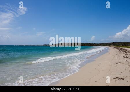 Ein breiter Blick auf einen Strand in Vieques, mit Blick auf das Karibische Meer, weißen Sand und Palmen in der Ferne Stockfoto