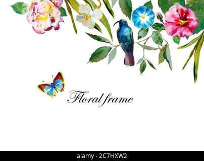 Sommer floral Header Rahmen Hintergrund mit Aquarell Blumen Rose, Malge, Narzisse, blau summenden Vogel und Schmetterling Stockfoto