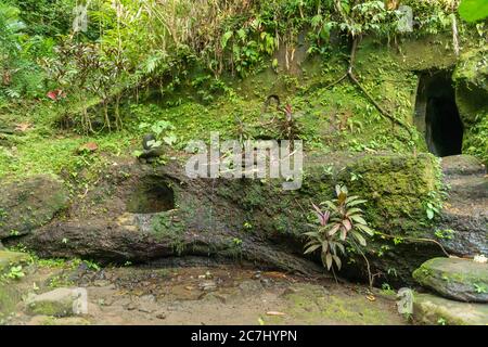 Blick auf den heiligen Affenwald in Ubud Stockfoto