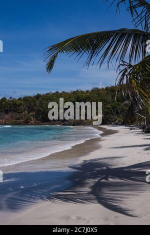 Der Sand, das Karibische Meer und die Palmen am Strand Playa Zoni in Culebra, Puerto Rico Stockfoto