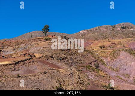 Hochlandwirtschaft im Parque Nacional Tototoro, Nationalpark Torotoro, Anden, Departemento Potosí, Bolivien, Lateinamerika Stockfoto