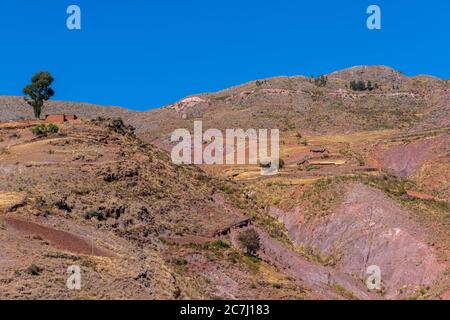 Hochlandwirtschaft im Parque Nacional Tototoro, Nationalpark Torotoro, Anden, Departemento Potosí, Bolivien, Lateinamerika Stockfoto